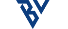 bvsunglasses Logo