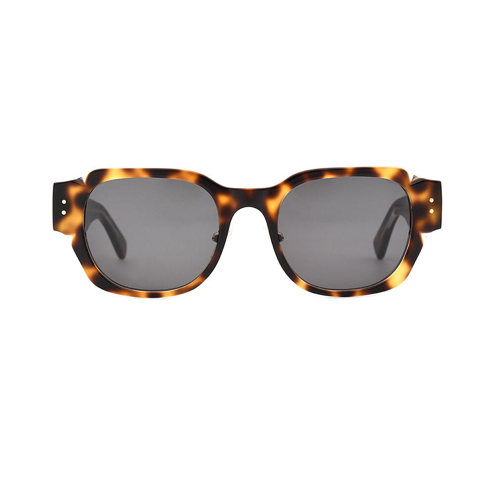 BS23SS0101AC_C4_附图一