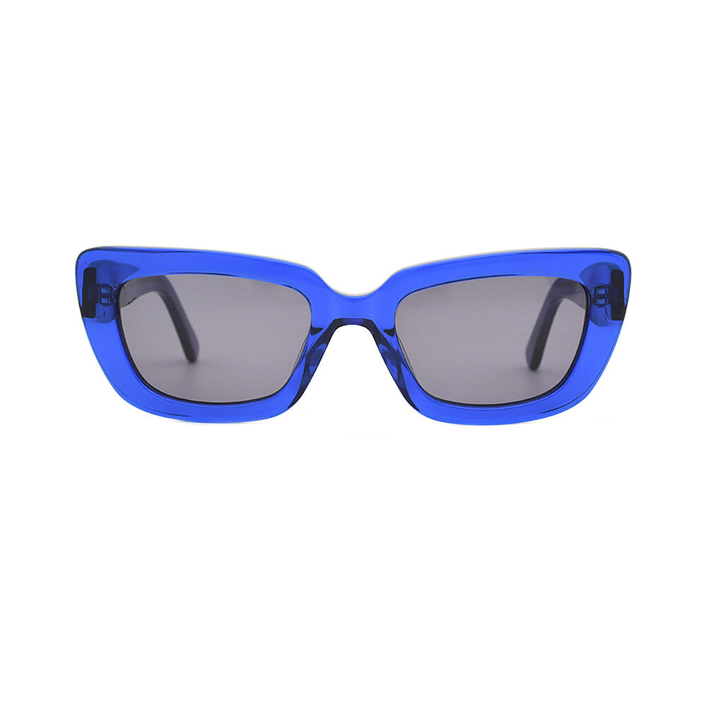 BS23SS0202AC_C4_附图一