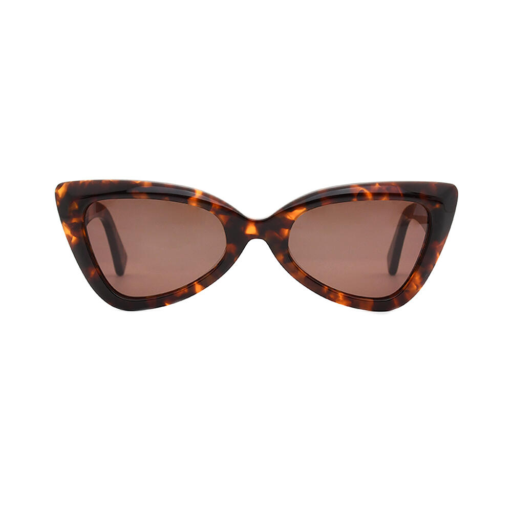 BS23SS0405AC_C2_附图一