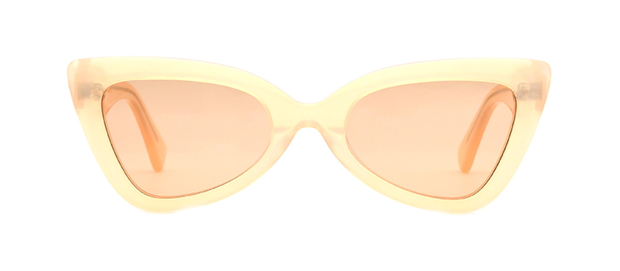 BS23SS0405AC_C5_附图一