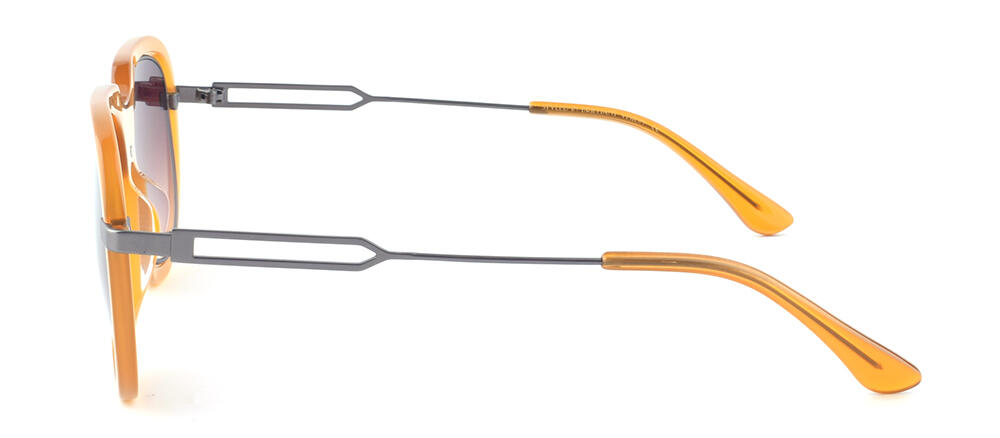 BS19SS1001AM_C5_附图二