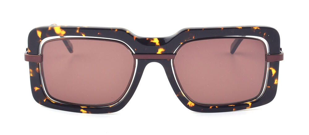 BS19SS1003AM_C2_附图一