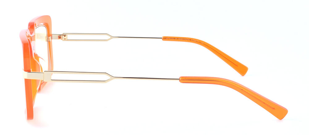 BS19SS1003AM_C3_附图二