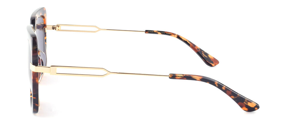 BS19SS1004AM_C5_附图二