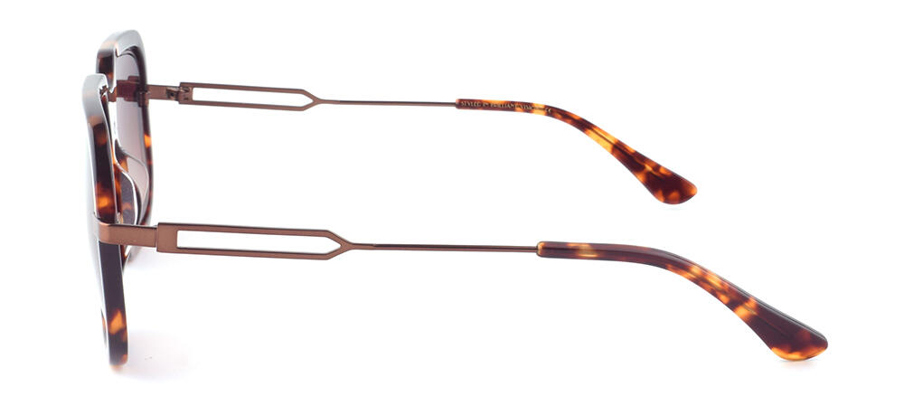 BS19SS1005AM_C2_附图二